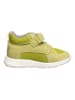 Richter Shoes Sneakers groen