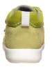 Richter Shoes Sneakers groen