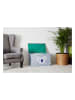 STORE IT Spielzeugtruhe "Koala" in Grau - (B)62 x (H)39 x (T)37,5 cm