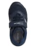 Geox Sneakers "Pavlis" donkerblauw/wit