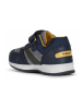 Geox Sneakers "Pavlis" in Dunkelblau/ Gelb