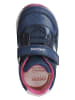 Geox Sneakersy "Rishon" w kolorze granatowo-różowym