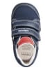 Geox Sneakers "Elthan" donkerblauw