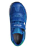 Geox Sneakers "Pavel" in Blau