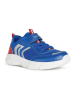 Geox Sneakers "Aril" in Blau/ Rot