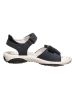 Primigi Leren sandalen donkerblauw