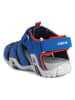 Geox Halbsandalen "Kraze" in Blau