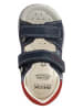 Geox Sandalen "Tapuz" donkerblauw/rood
