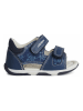 Geox Sandalen "Tapuz" donkerblauw