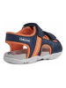 Geox Sandalen "Agasim" in Dunkelblau/ Orange