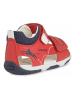 Geox Sandały "Tapuz" w kolorze czerwono-granatowym
