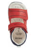 Geox Sandały "Tapuz" w kolorze czerwono-granatowym