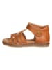 El Naturalista Leder-Sandalen "Atenas" in Hellbraun