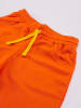Denokids 2-delige outfit "T-Rex" grijs/oranje