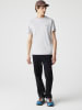 Lacoste Shirt in Hellgrau