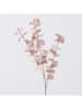 Boltze Decoratieve tak "Eucalyptus" beige - (H)88 cm