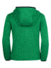 Trollkids Fleece vest "Jondalen XT" groen