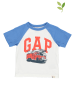GAP Shirt wit/lichtblauw