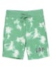 GAP Sweatshorts in Grün