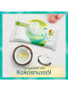 Pampers 18er-Set: Feuchttücher "Harmonie Coco" - 18x 42 Stück