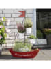 Profigarden Stojak "Sailing ship" w kolorze czerownym na rośliny - 66 x 88 x 28 cm