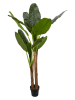 THE HOME DECO FACTORY Kunstplant groen - (H)160 cm