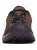 Columbia Wandelschoenen "North Plains Drifter" bruin