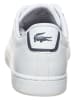 Lacoste Sneakers "Carnaby Evo" wit