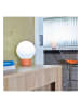 lumisky Lampa zewnętrzna LED w kolorze biało-jasnobrązowym - wys. 25 x Ø 20 cm