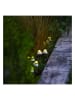 lumisky Girlanda solarna LED "Champy" w kolorze białym - dł. 380 cm