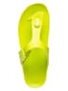 Scholl Zehentrenner "Bahia" in Lime