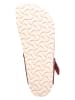Birkenstock Zehentrenner "Gizeh" in Bordeaux - Weite N