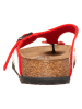 Birkenstock Zehentrenner "Gizeh" in Rot - Weite N