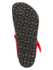 Birkenstock Zehentrenner "Gizeh" in Rot - Weite N