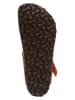 Birkenstock Teenslippers "Gizeh" lichtbruin - wijdte N