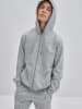 BIG STAR Sweatjacke in Grau