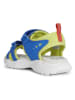 Geox Sandalen "Splush" in Limette/ Blau