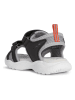 Geox Sandalen "Splush" zwart/lichtblauw