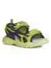 Geox Sandalen "Splush" in Limette/ Dunkelblau