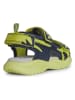 Geox Sandalen "Splush" limoengroen/donkerblauw