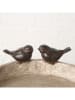 Boltze 2-delige set: vogeldrinkbakken "Lubin" lichtbruin - (H)6 x Ø 21 cm