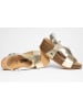 Sunbay Sleehaksandalen "Pavot" goudkleurig