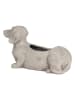 Clayre & Eef Bloempot grijs - (B)24 x (H)13 x (D)9 cm