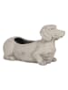Clayre & Eef Bloempot grijs - (B)24 x (H)13 x (D)9 cm