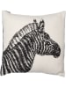 David Fussenegger Kissenhülle "Nova - Zebra" in Creme/ Schwarz