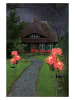 näve Ledsolartuinsteker "Blume" roze - (H)79 cm