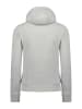 Geographical Norway Hoodie "Geduction" lichtgrijs