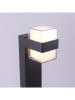 Paul Neuhaus Lampa zewnętrzna LED w kolorze antracytowym - 15 x 75 x 9,5 cm