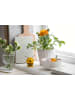 Hoptimist Dekofigur "Bee Yellow" in Gelb - (B)5 x (H)6 x (T)5 cm