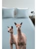 Ambiante Renforcé beddengoedset "Inca" lichtblauw/meerkleurig